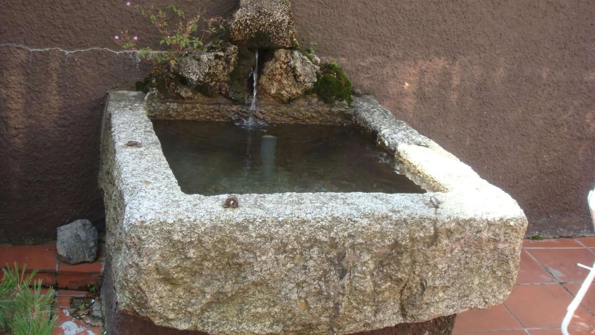 Albergo Stelvio Bormio Hotel